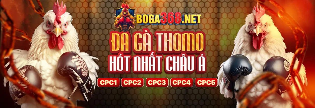 Hình ảnh chính blog JJ88 Win 2026