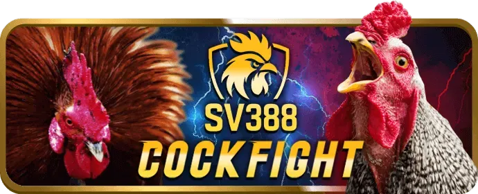 Nền tảng cá cược an toàn JJ88 Win